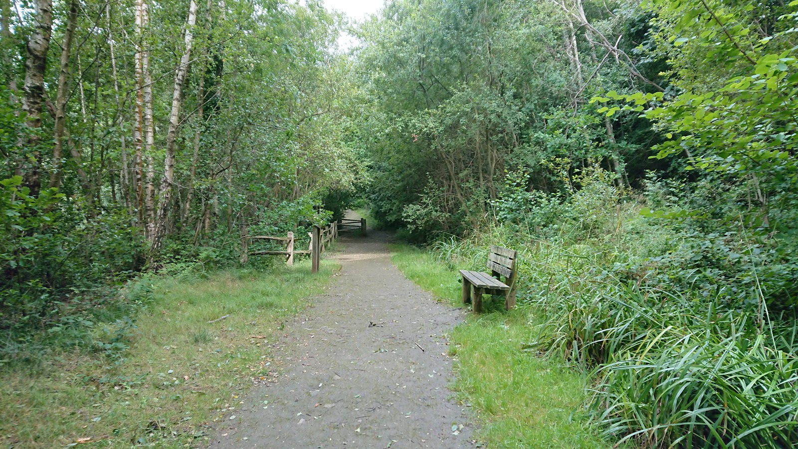 https://whatremovals.co.uk/wp-content/uploads/2022/02/Crowborough Country Park-300x169.jpeg